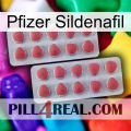 Pfizer Sildenafil 19